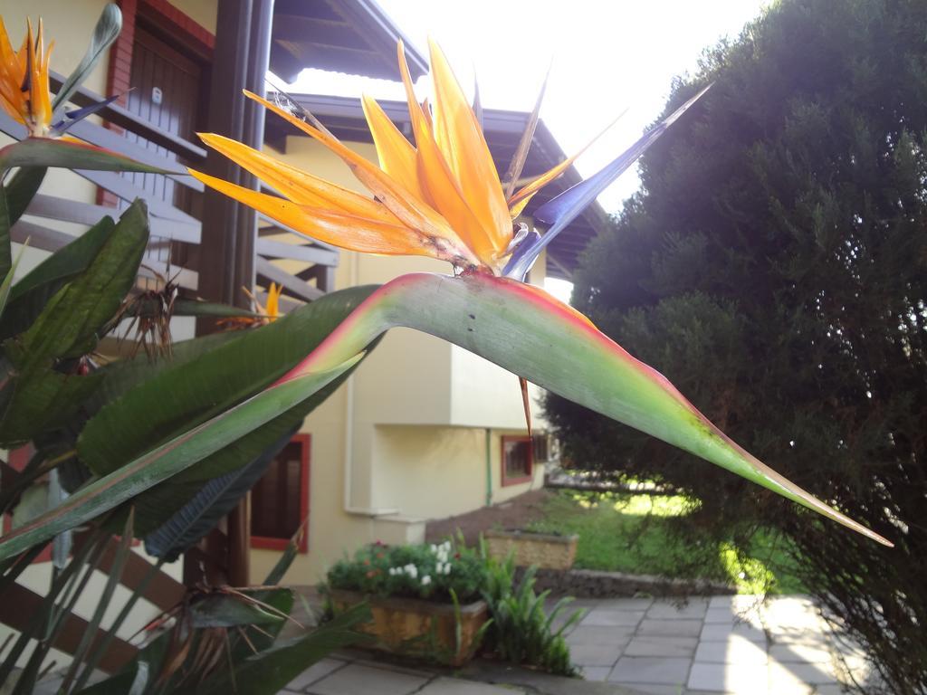 Pousada Floratta Nossa Casa 格拉玛多 外观 照片