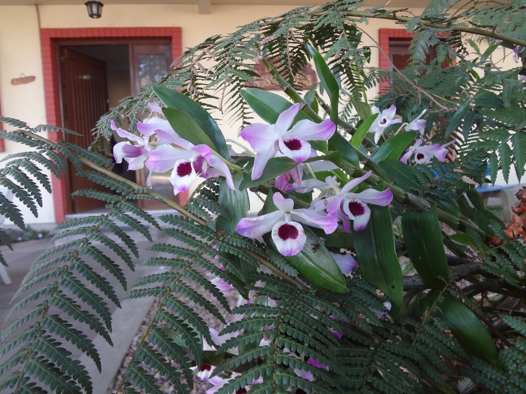 Pousada Floratta Nossa Casa 格拉玛多 外观 照片